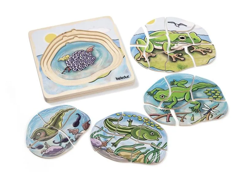 PUZZLE CYCLE DE VIE Les animaux La grenouille