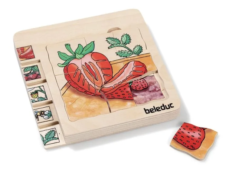PUZZLE CYCLE DE VIE Les fruits La fraise