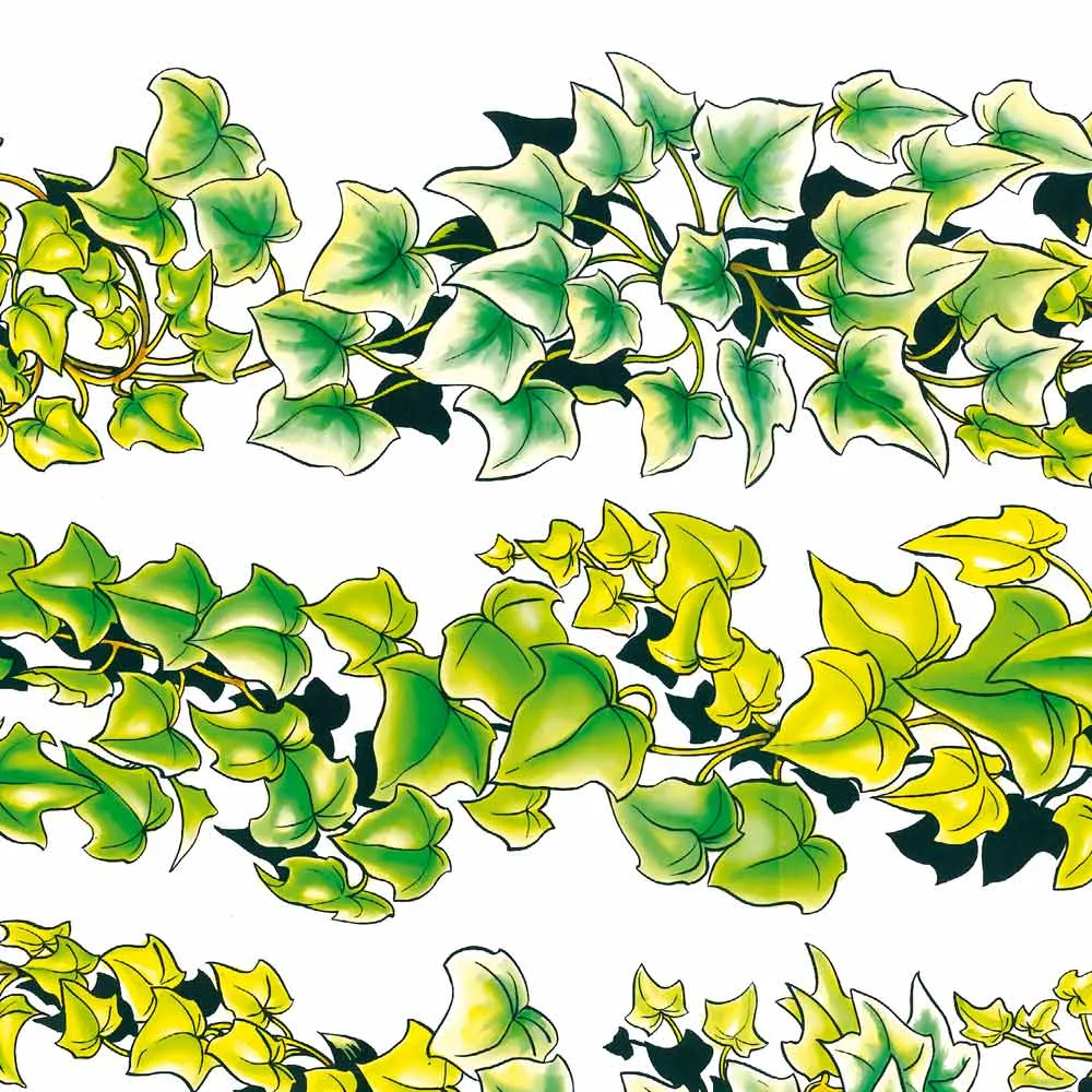 Vitrophanie frises de lierre - 70 x 100 cm